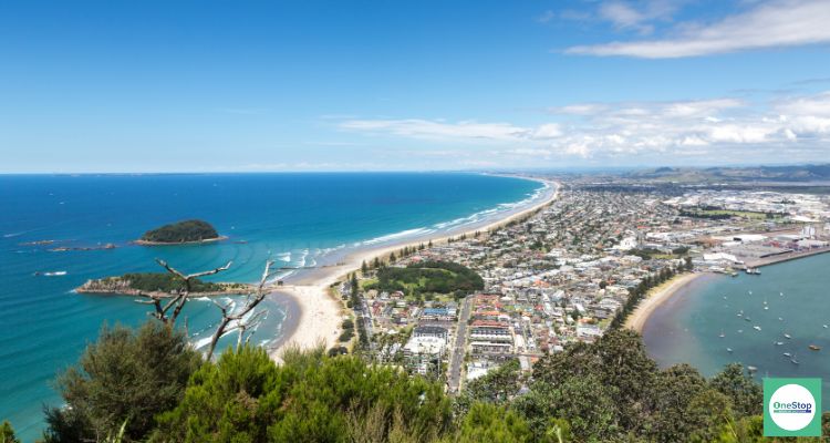 mortgage broker tauranga